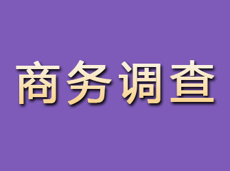 海拉尔商务调查